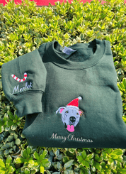 Christmas Custom Pet Face Color Portrait Santa Holiday Crewneck Sweatshirt